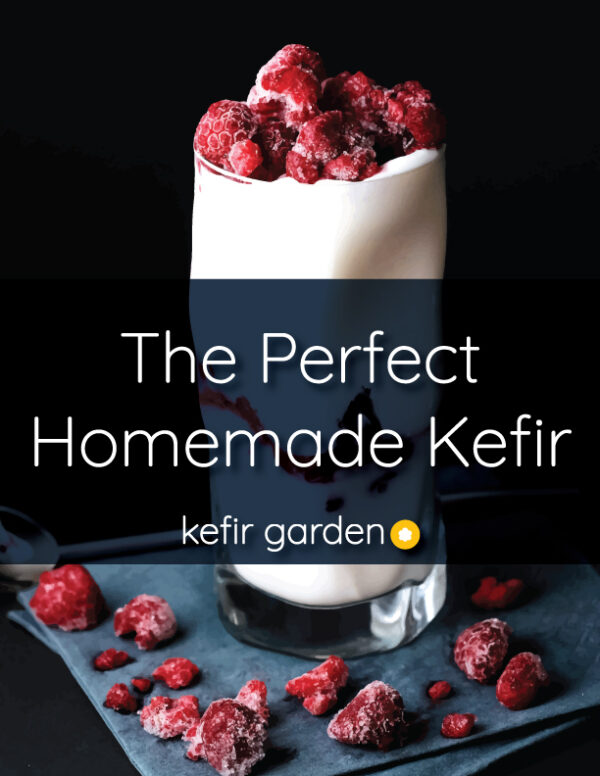 Fresh Milk Kefir Grains — Positively Probiotic