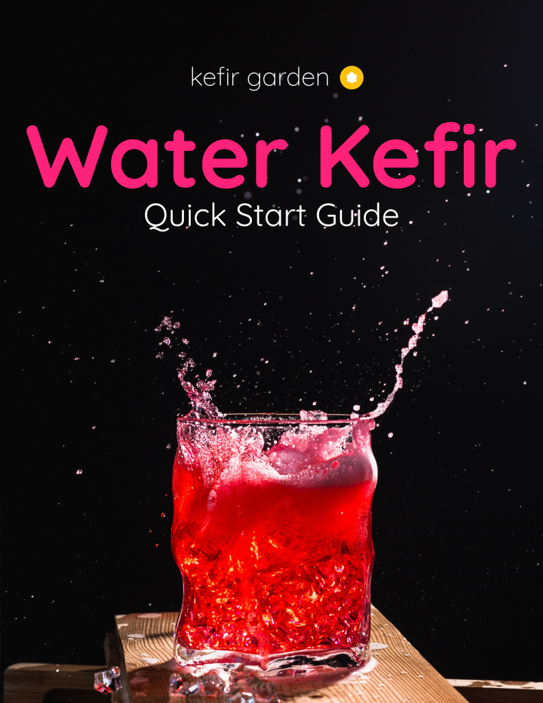 water kefir Quick Start Picture